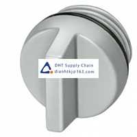 Siemens  6ES7194-4JD60-0AA0  Original New In STOCK 