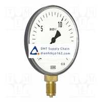 WIKA_12124842 Original New Stock