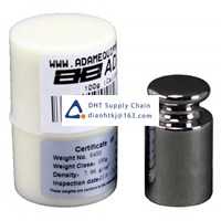 Adam Equipment Co Ltd_F1 100g Original New Stock