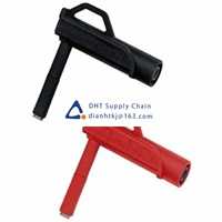 Chauvin Arnoux_P01103058Z Original New Stock