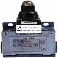 Limit and position switches  Telemecanique Sensors_XCKM102H29