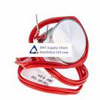 Capacitive, magnetic and piezoelectric switches  Saia-Burgess_TH702100129