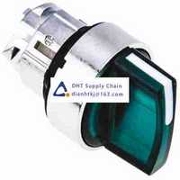 Key switches and selector switches Schneider Electric_ZB4BK1233