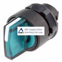 Key switches and selector switches Schneider Electric_ZB5AK1333