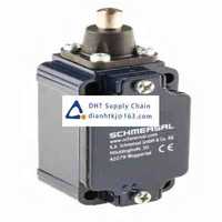 Limit and position switches  Schmersal_EX-ZS 335-11Z-3G/D