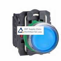 Pushbutton switches and components Schneider Electric_XB5AW36G5