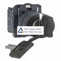 Key switches and selector switches Schneider Electric_XB5AG33