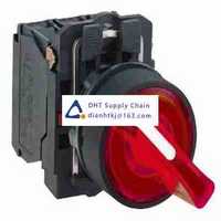 Key switches and selector switches Schneider Electric_XB5AK124M5