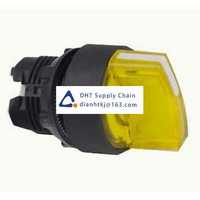 Key switches and selector switches Schneider Electric_ZB5AK1283