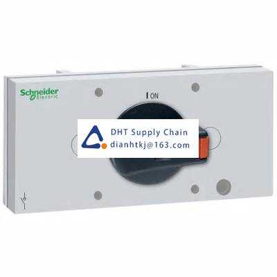 Disconnector and components Schneider Electric_VLS8C1