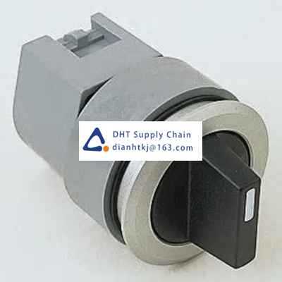 Key switches and selector switches EAO_704.411.018