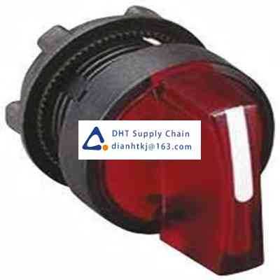 Key switches and selector switches Schneider Electric_ZB5AK1243