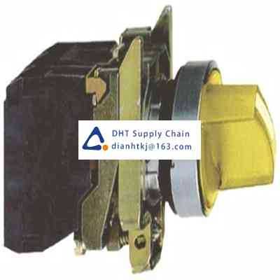 Key switches and selector switches Schneider_XB4BK125M5