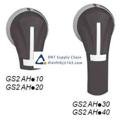 Disconnector and components Schneider Electric_GS2AH230