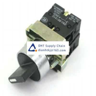 Key switches and selector switches Schneider_XB2BD25C