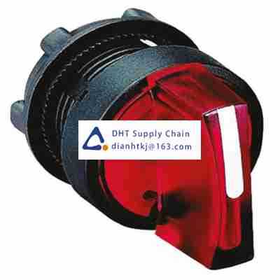 Key switches and selector switches Schneider_ZB5AK1343