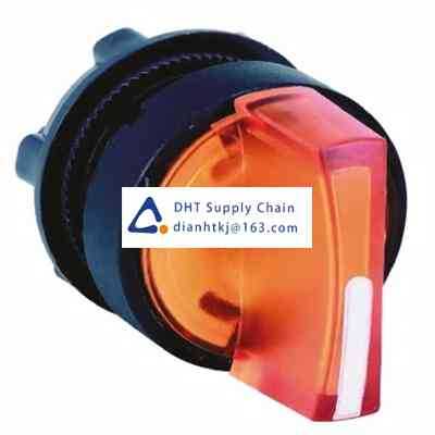 Key switches and selector switches Schneider_ZB5AK1353