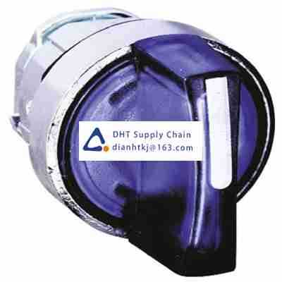 Key switches and selector switches Schneider Electric_ZB4BK1863