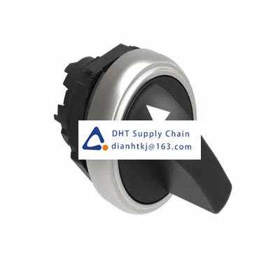 Key switches and selector switches Lovato_LPCS130