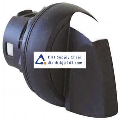 Key switches and selector switches Allen Bradley_800FP-SR22