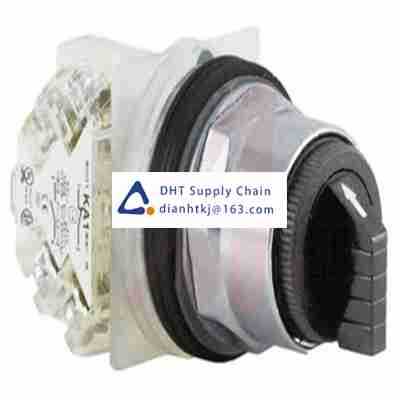 Key switches and selector switches Schneider_9001KS11BH1