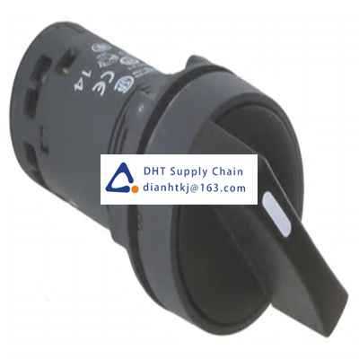 Key switches and selector switches Schneider Electric_XB7ND21