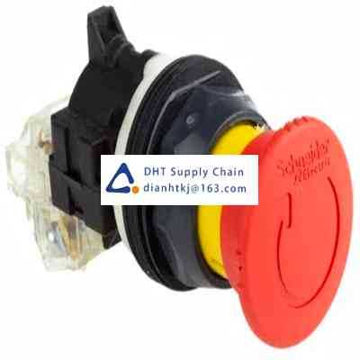 Pushbutton switches and components Schneider Electric_9001SKR16H13