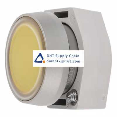 Pushbutton switches and components EAO_704.013.4