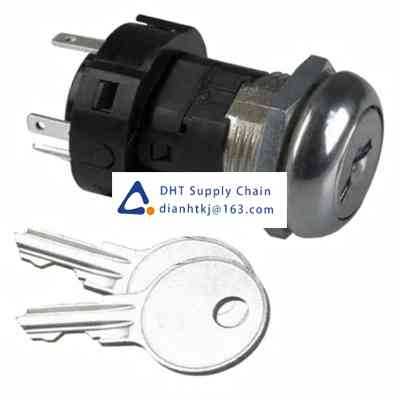 Key switches and selector switches C & K_H100AA2F205NQ