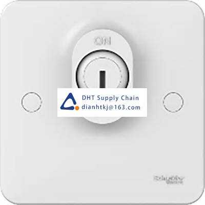 Household installation switch Schneider Electric_GGBL2010LS