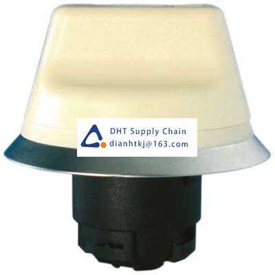 Key switches and selector switches Schmersal _NWS 21.1