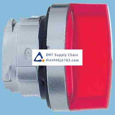 Key switches and selector switches Schneider Electric_ZB4BK1313