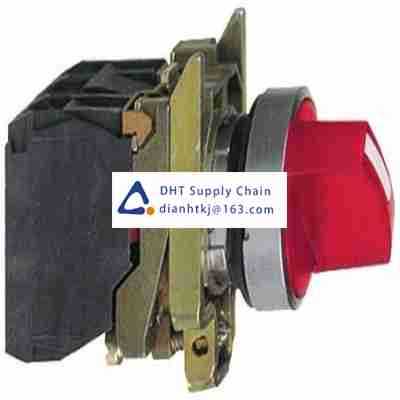 Key switches and selector switches Schneider_XB4BK124M5