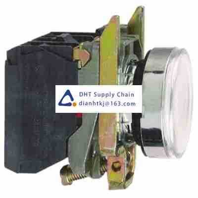 Pushbutton switches and components Schneider Electric_XB4BW31G5