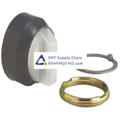 Key switches and selector switches Schneider_9001KU17