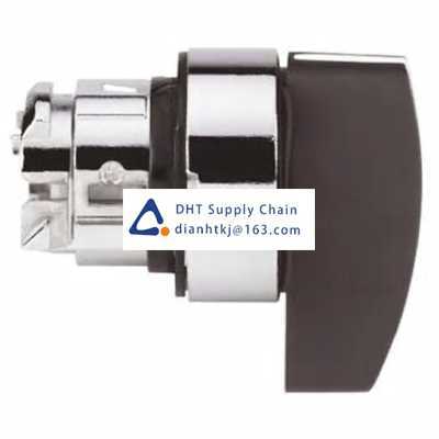 Key switches and selector switches Schneider_ZB4BJ393