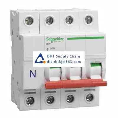 Disconnector and components Schneider Electric_SEA91253N