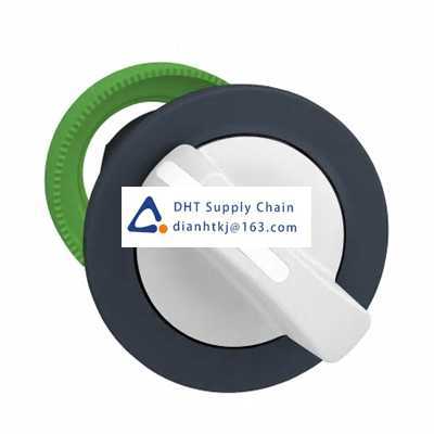 Key switches and selector switches Schneider Electric_ZB5FD301