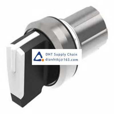 Key switches and selector switches EAO_45-2828.2C90.001