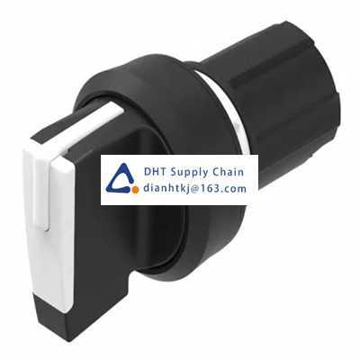 Key switches and selector switches EAO_45-2844.1C90.006