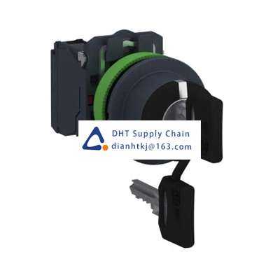 Key switches and selector switches Schneider Electric_XB5FG33