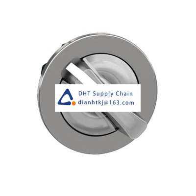 Key switches and selector switches Schneider Electric_ZB4FK1213