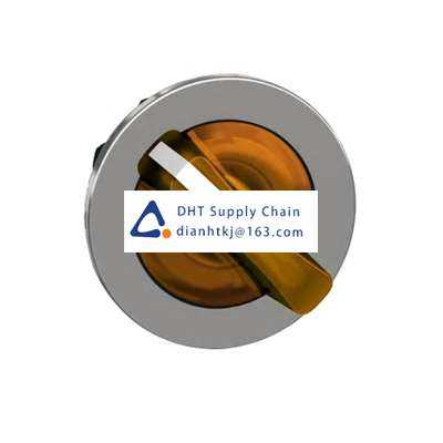 Key switches and selector switches Schneider Electric_ZB4FK1253