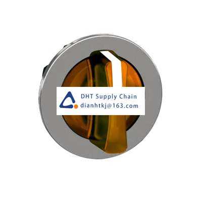 Key switches and selector switches Schneider Electric_ZB4FK1553