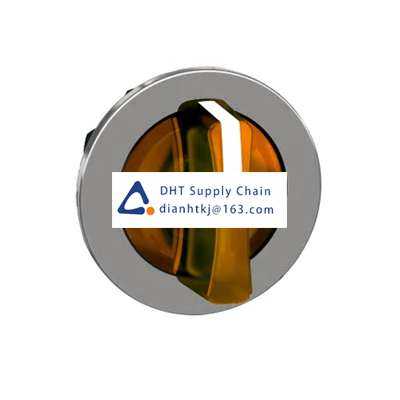 Key switches and selector switches Schneider Electric_ZB4FK1853