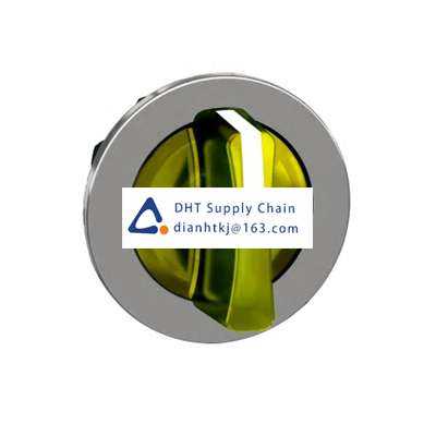 Key switches and selector switches Schneider Electric_ZB4FK1383