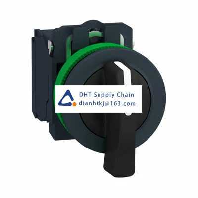 Key switches and selector switches Schneider Electric_XB5FJ33