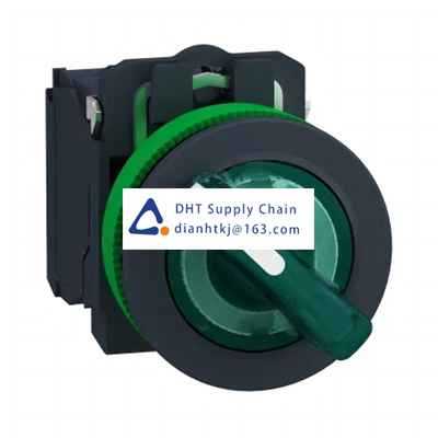 Key switches and selector switches Schneider Electric_XB5FK123G5