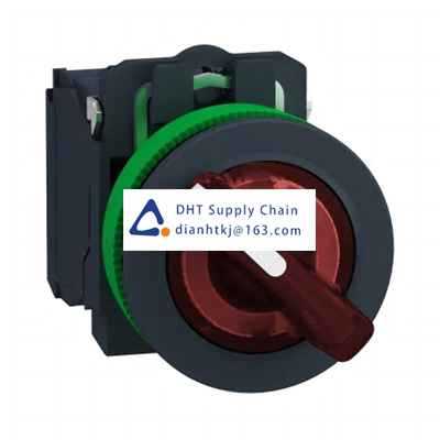 Key switches and selector switches Schneider Electric_XB5FK124G5