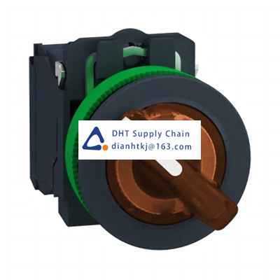 Key switches and selector switches Schneider Electric_XB5FK125G5